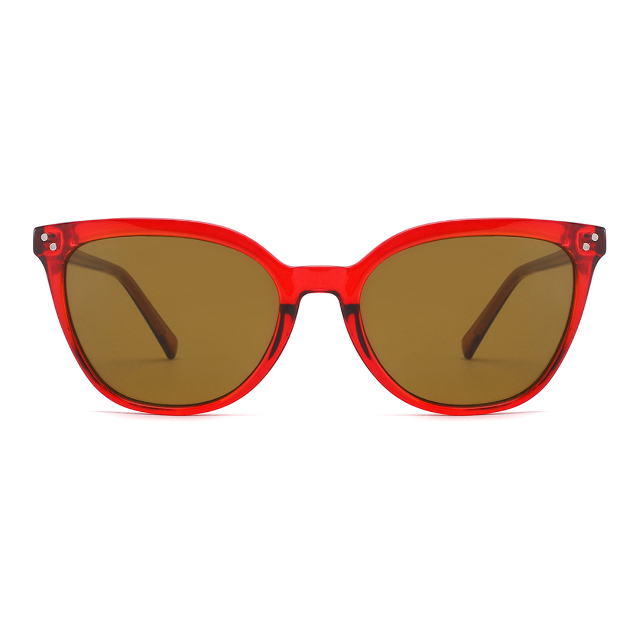 Gafas de Sol Sexton TK00131 - C2 - 24 de Acetato Inyectado Mujer 53 mm
