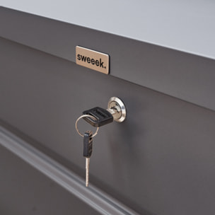 Coffre de jardin métal 285L DALLAS