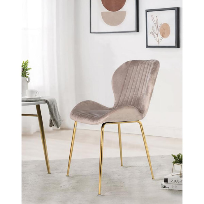 Ensemble 4 chaises - 84x55x51cm