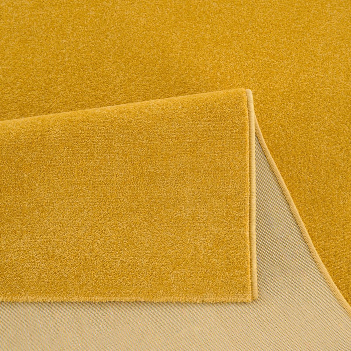 Tapis salon et chambre tissé motif uni PAJU