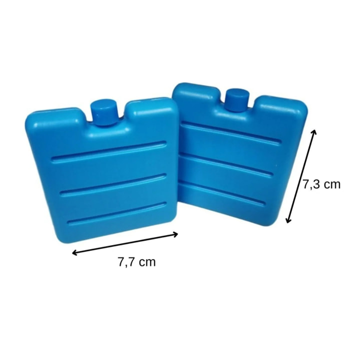 Lot de 2 pains de glace pour glacière et lunch bag Fackelmann