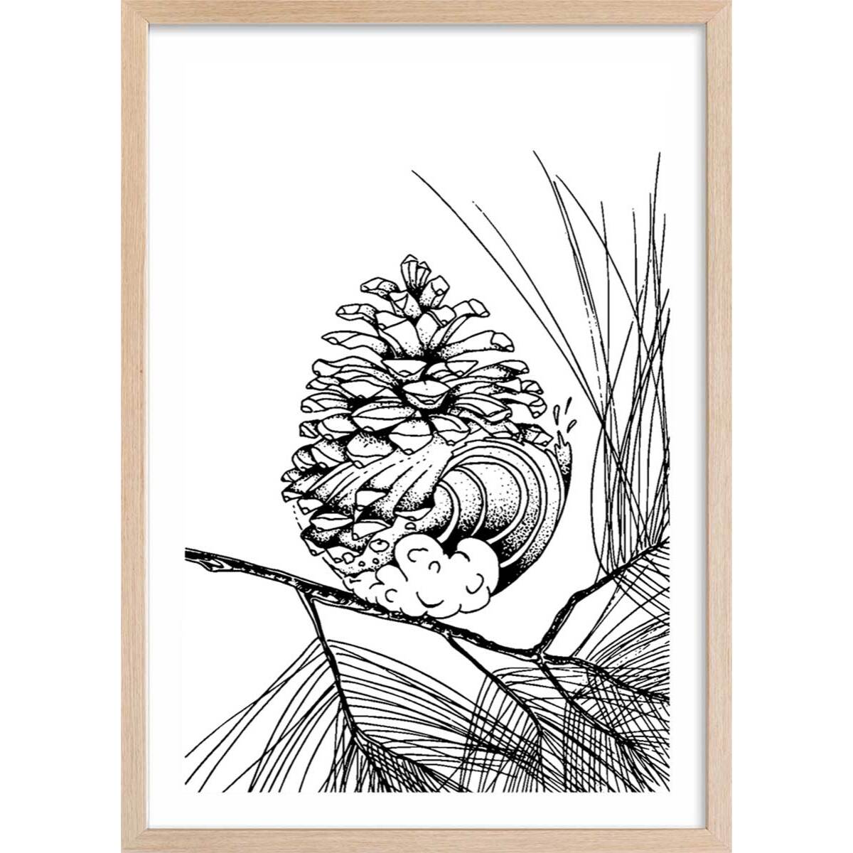 Poster pigne des landes Affiche + cadre en bois - Chêne