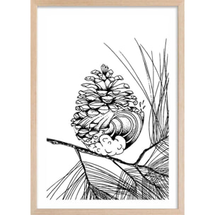 Poster pigne des landes Affiche + cadre en bois - Chêne