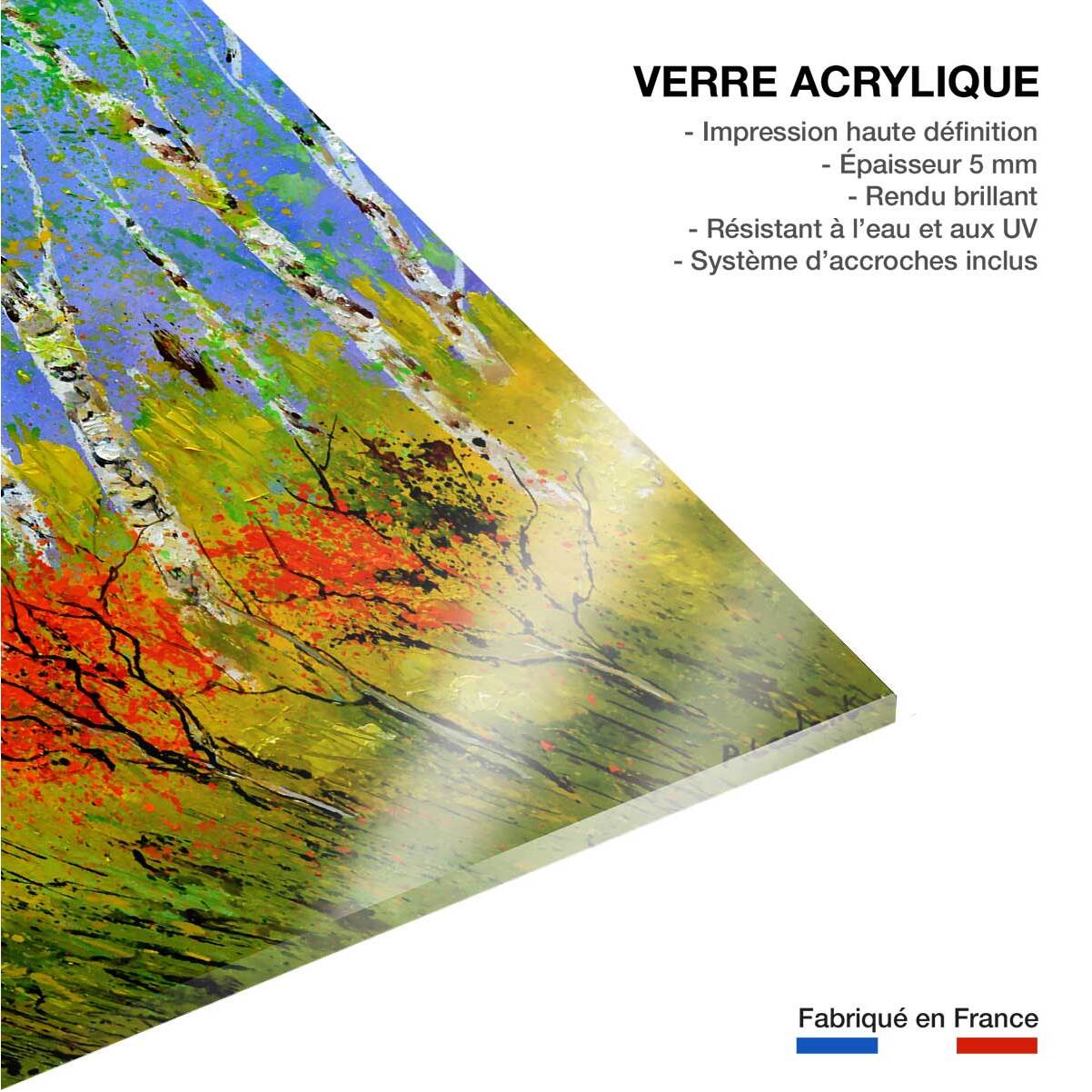 Tableau paysage bouleaux et coquelicots Tableau plexiglas