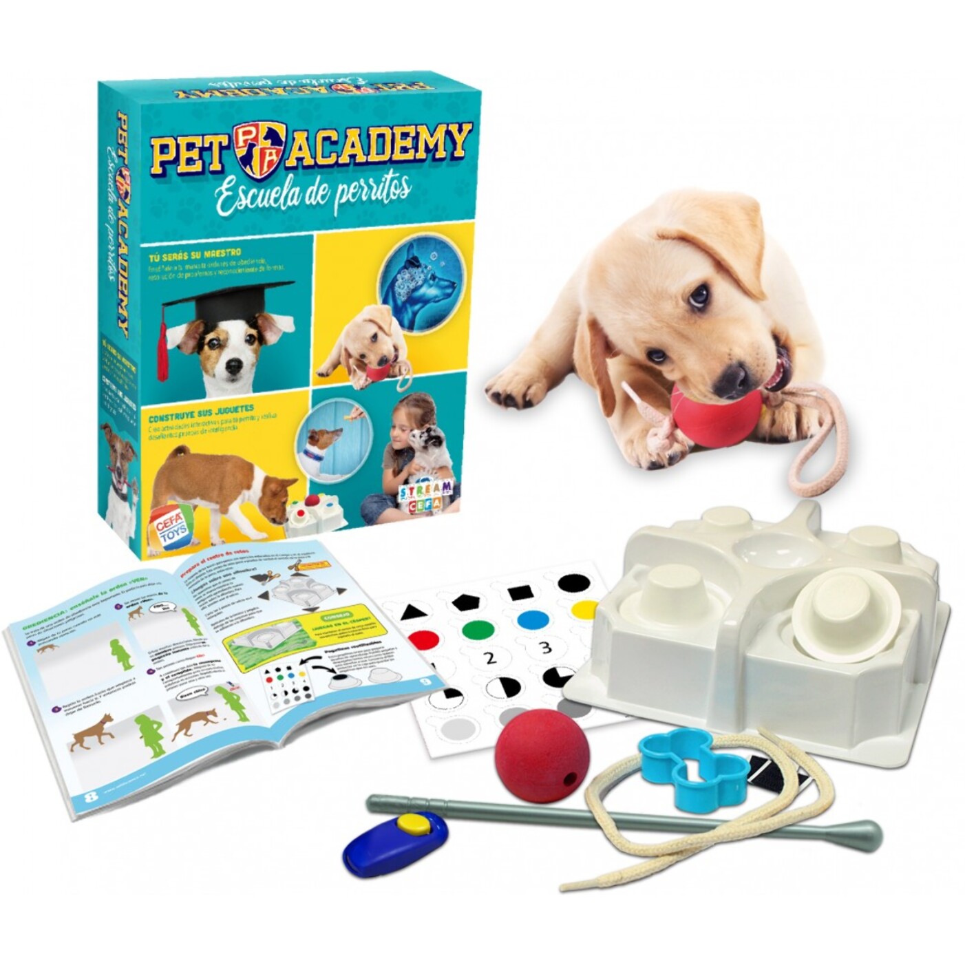 PET ACADEMY, ESCUELA DE PERRITOS