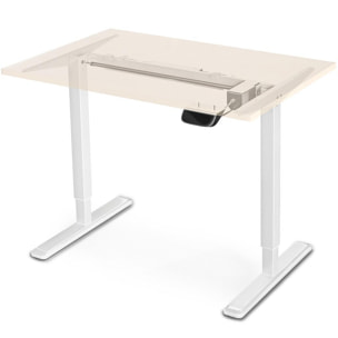 FrankyStar - Stand Up Desk scrivania elettrica con tecnologia dual motor, con regolazione digitale.