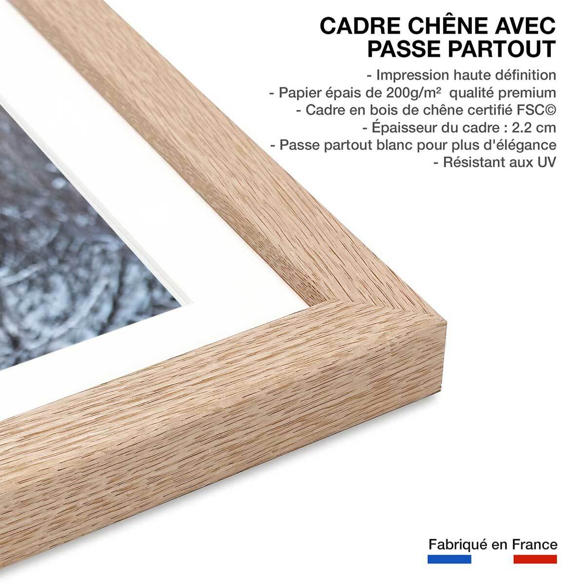 Affiche enfant parrot blanc  Affiche sous cadre bois