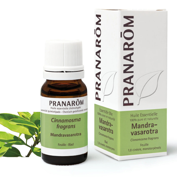 Pranarom - Huile Essentielle de Mandravasarotra - 10 ml