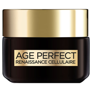 L'Oréal Paris Age Perfect Renaissance Cellulaire Soin Revitalisant Jour 50ml