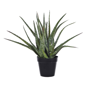 Hawortia Aloe Con Vaso. Altezza 35,5 Cm - Pezzi 1 - 14X35,5X14cm - Colore: Verde - Bianchi Dino - Piante Artificiali