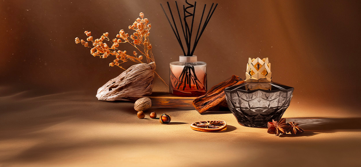 MAISON BERGER à super prix chez VEEPEE