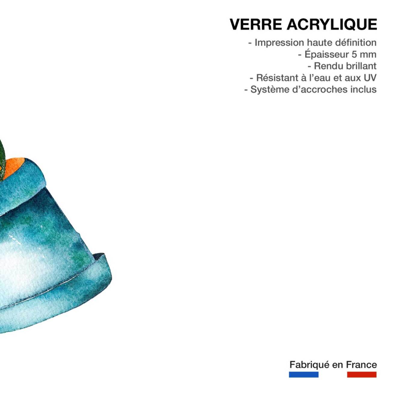 Tableau pot de cactus Tableau plexiglas