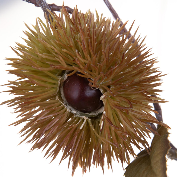 Ramo castagno - Pezzi 12 - 24xH86x15cm - Bianchi Dino SpA