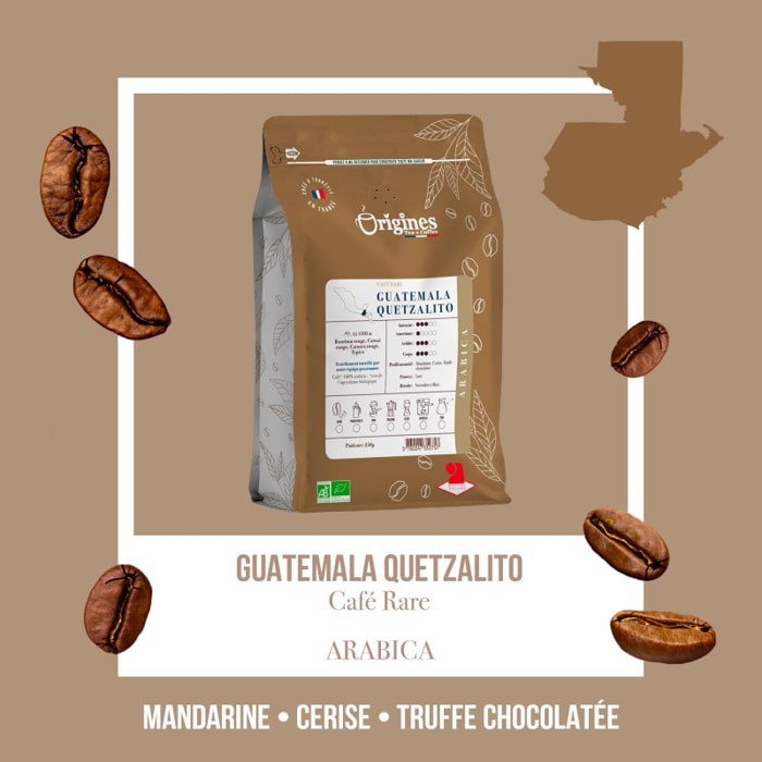 Guatemala Quetzalito - Café rare Bio - Italienne 250g