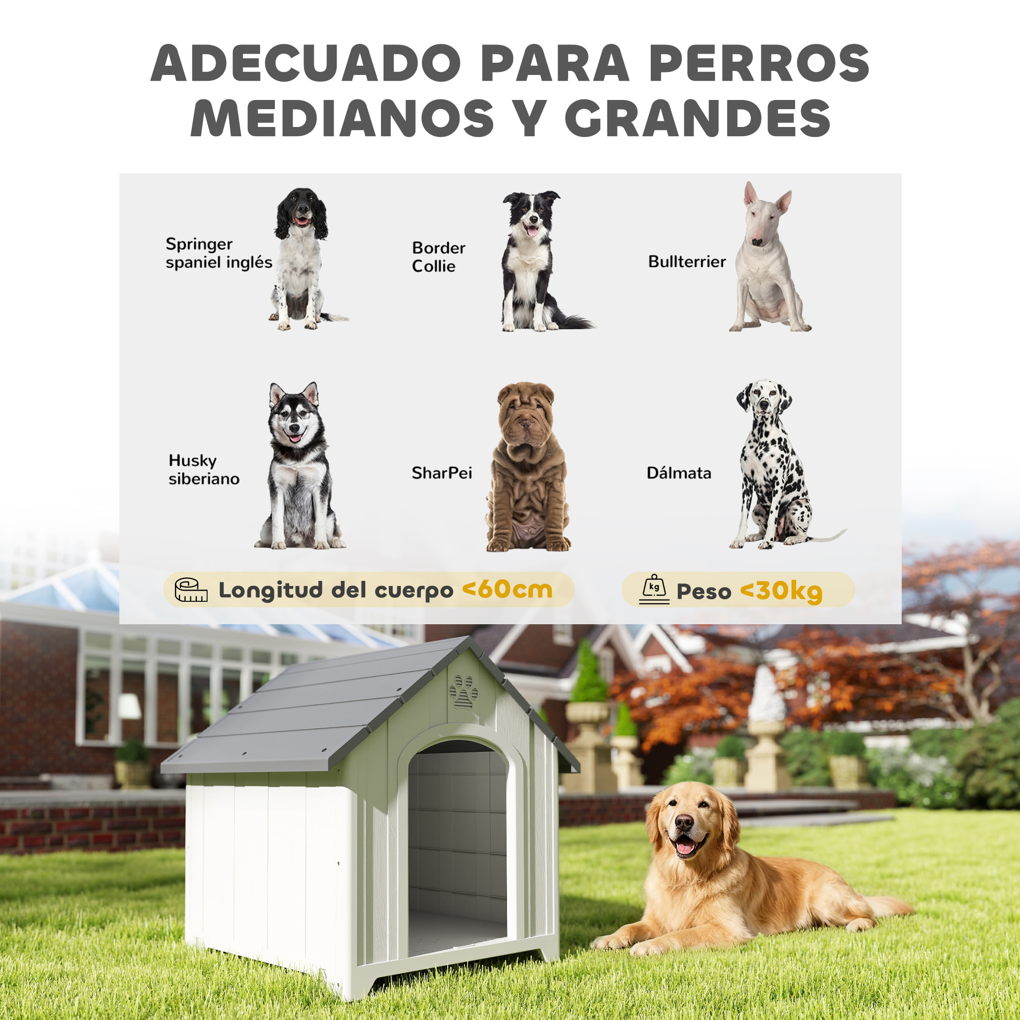 Caseta para Perros Exterior, Casa para Perros Grandes de Plástico Impermeable con 2 Ventanas, Base Elevada, Estacas, Fácil de Montar, 88x79x89 cm, Gris