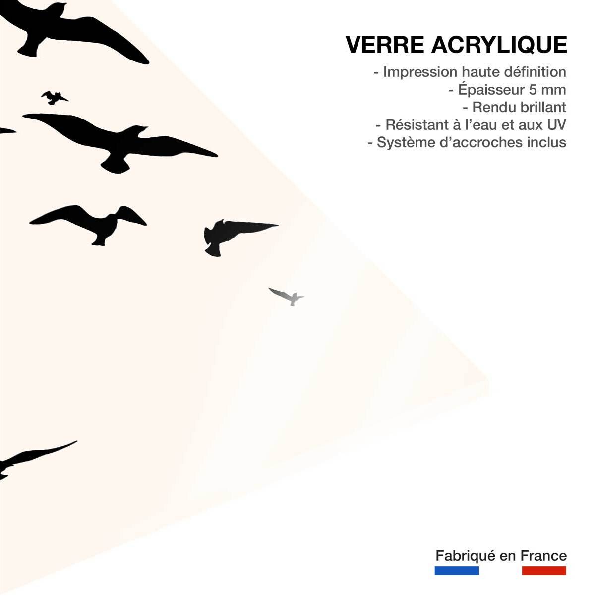 Tableau Envolee Up and Away Tableau plexiglas