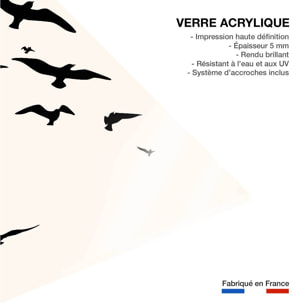 Tableau Envolee Up and Away Tableau plexiglas