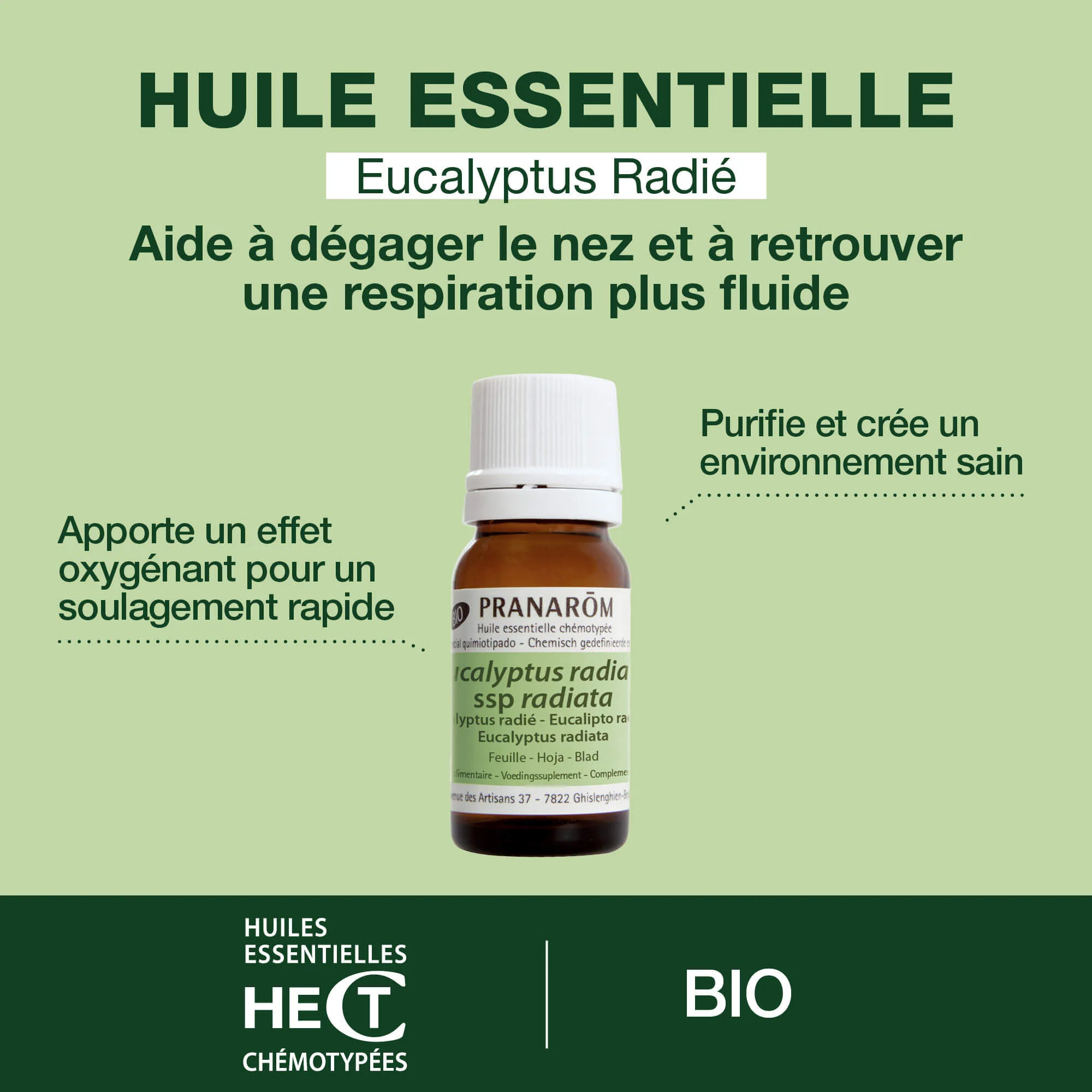 Pranarom - Huile Essentielle d'Eucalyptus radié - Bio - 10 ml