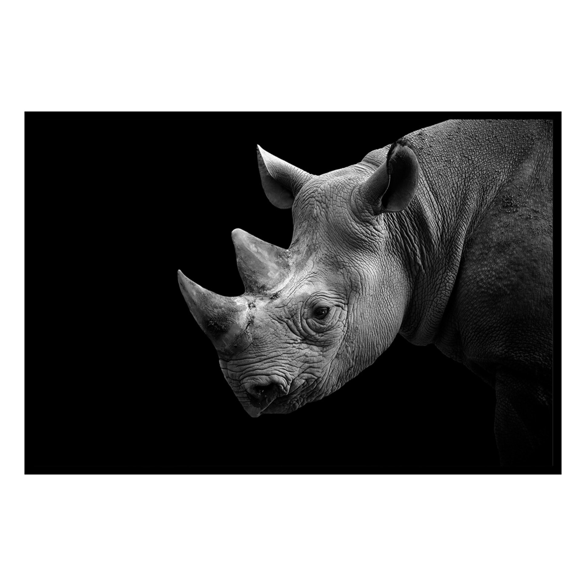 Affiche encadrée rhinocéros de profil en noir et blanc Affiche + cadre en métal - Noir