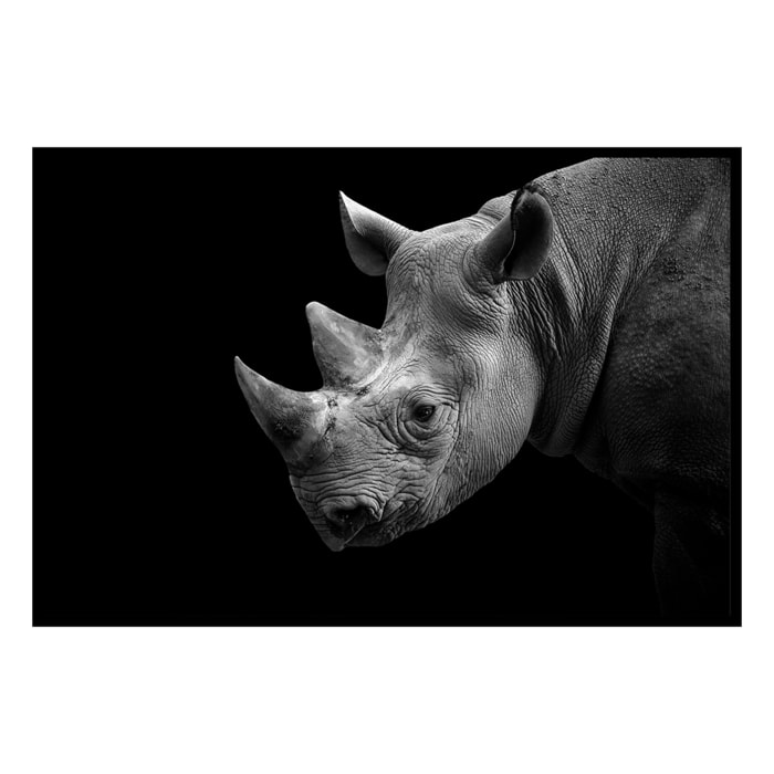 Affiche encadrée rhinocéros de profil en noir et blanc Affiche + cadre en métal - Noir