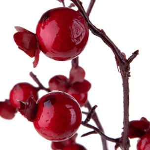 Ramo - Pezzi 12 - 22xH99x18cm - Bianchi Dino SpA