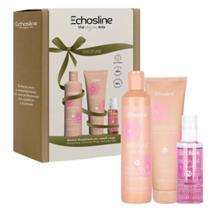 ECHOSLINE Set Winter Holidays Discipline Shampoo 300ml + Leave In Conditioner 300ml + Serum 100ml