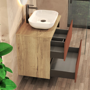 ENSEMBLE DE SALLE DE BAIN NIA | MEUBLE SUSPENDU | 70 CM SCARLAT | DEUX TIROIRS |LAVABO SUR PLAN | MIROIR NON INCLUS | MEUBLE MONTÉ | ALDAY
