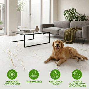 Sticker Sol avec laminat de Protection en Plastique Anti-dérapant | Stickers adhésif Sol - SOL MARBRE BLANC ET DORURES - 1 sticker