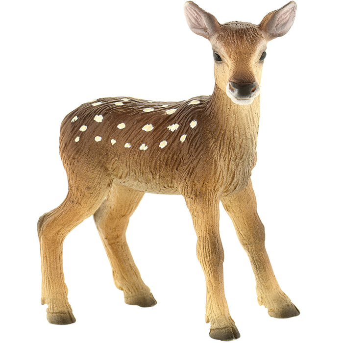 Animali della Foresta/Piccolo di Cervo Rosso