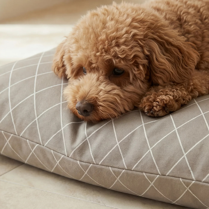 Lit pour animaux déhoussable et antitaches 0120-295