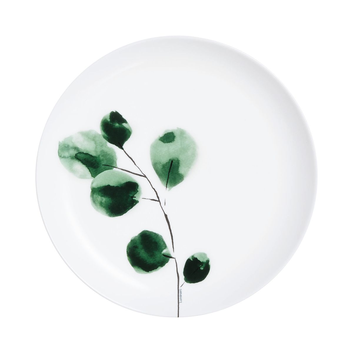 Assiette plate 25 cm Eucalyptus - Luminarc