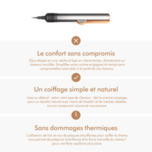 Lisseurs séchants Dyson Airstrait™ Nickel/Cuivré - Reconditionné