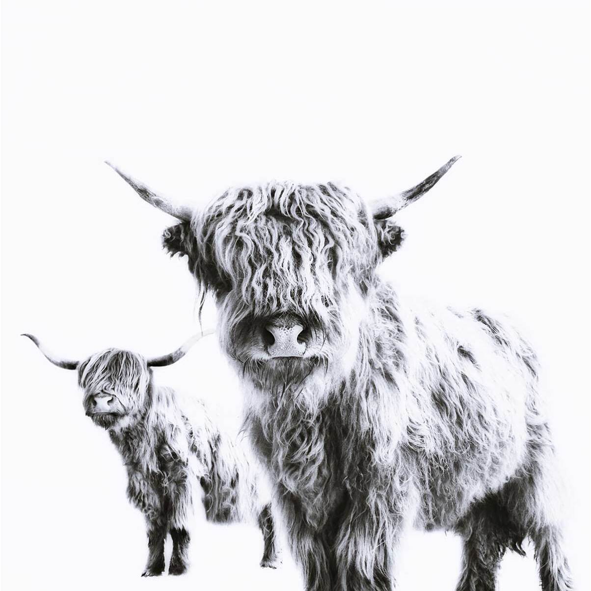 Affiche enfant jumelles  Affiche + cadre en bois - Noir