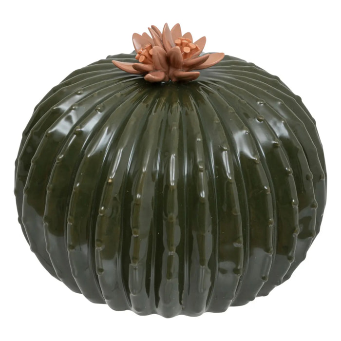 Cactus boule déco Exotic panama H.20cm céramique
