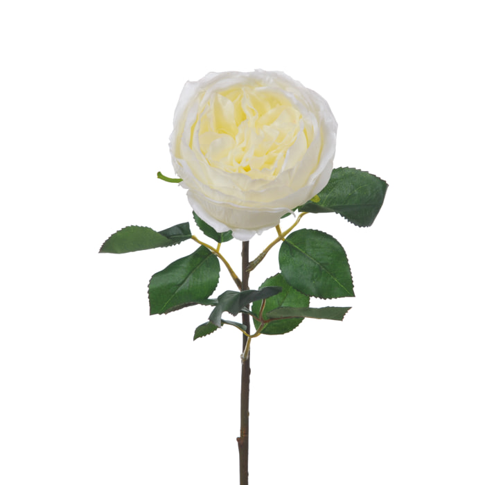 Rosa Cabbage. Altezza 49 Cm - Pezzi 6 - 13X49X13cm - Colore: Bianco - Bianchi Dino - Fiori Artificiali