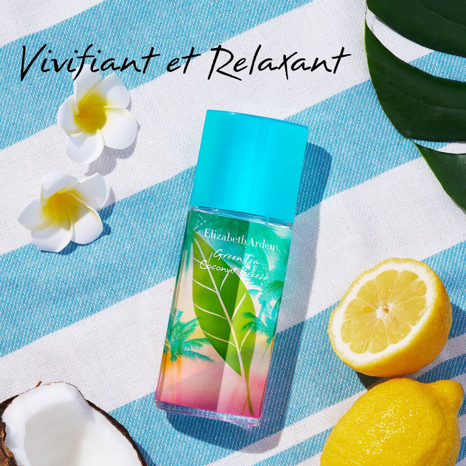 Green Tea Coconut Breeze - Eau de Toilette