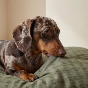 Housse antitaches pour lit pour animal Pancho Green