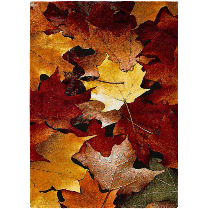 KOBY Alfombra floral de pelo corto multicolor, varias medidas disponibles.