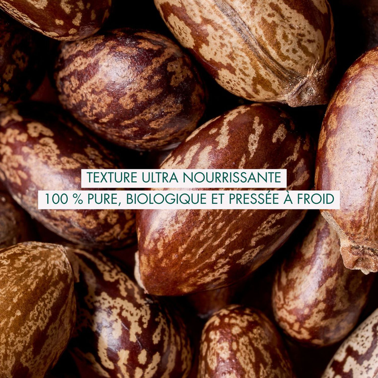 Huile de Ricin  - Fortifiante 50 ml