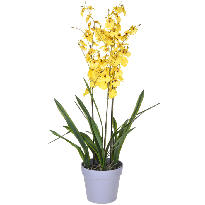 Orchidea Oncidium A 3 Diramazioni Con Vaso. Altezza 45 Cm - Pezzi 1 - 26X45X25cm - Colore: Giallo - Bianchi Dino - Piante Artificiali