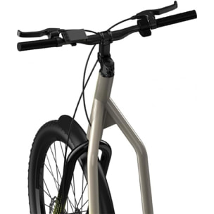 Cecotec Bicinete Urban Homologado. 1000 W Autonomía hasta 50 km Ruedas de 20 y 2