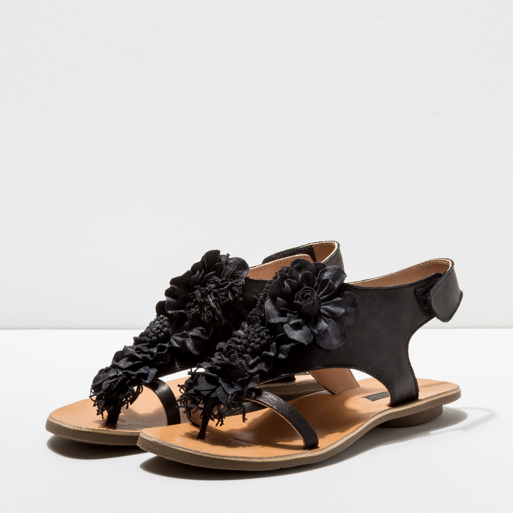 Sandalias S3127 MONTONE BLACK / DAPHNI color Black