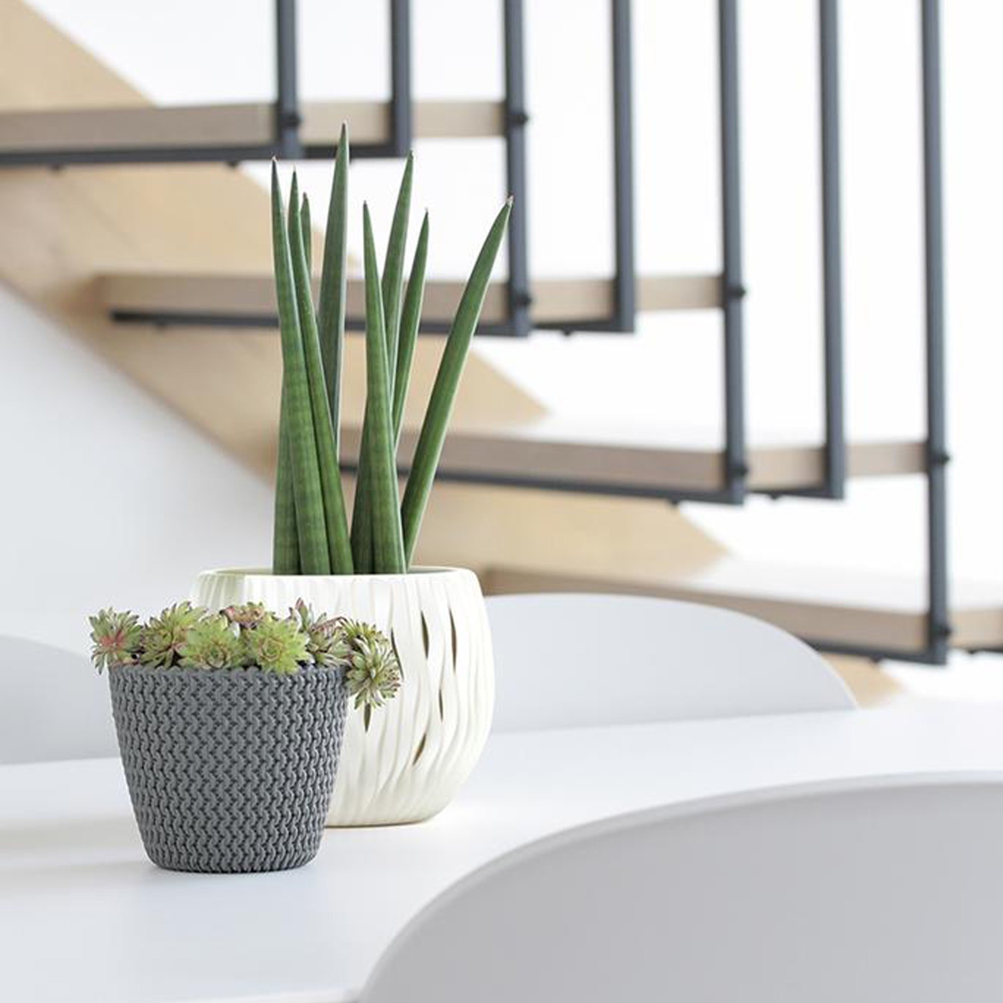 Maceta redonda de plastico en color mocca