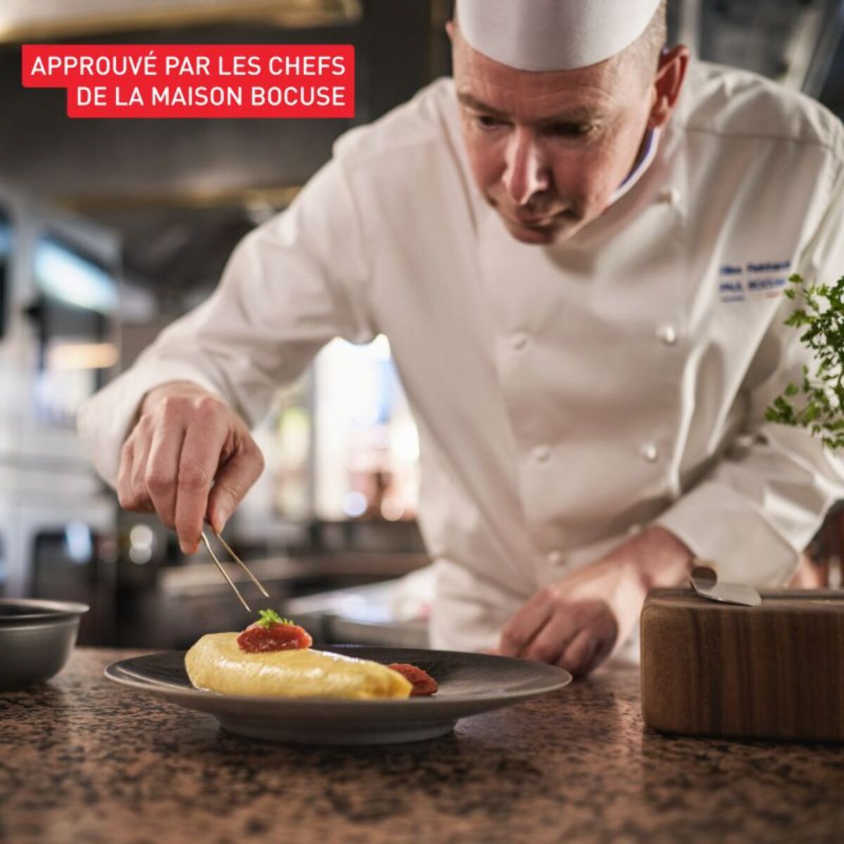 Poêle TEFAL 24cm Bocuse Edition