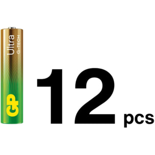 Pile GP x12 AA + x12 AAA + guirlande LED