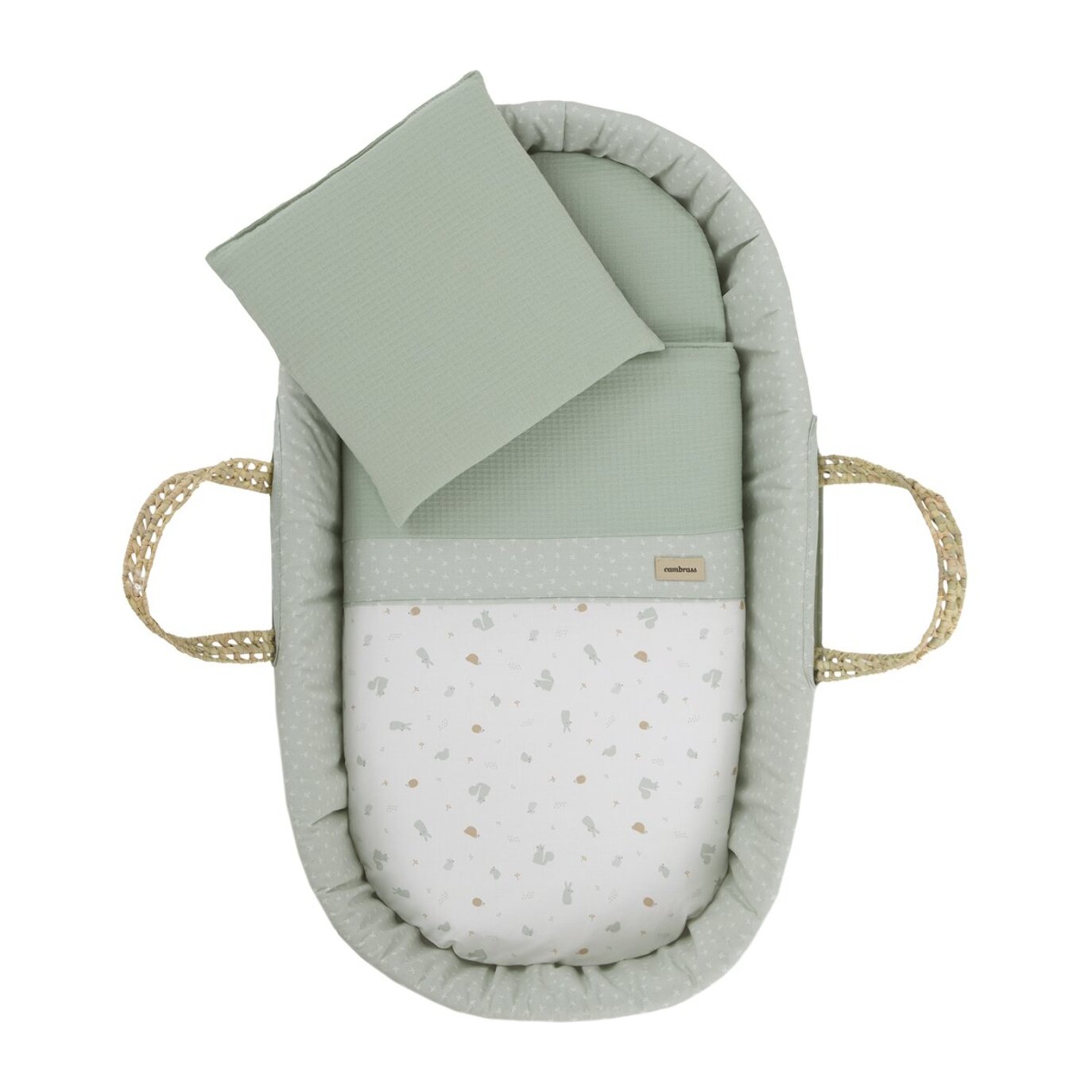 Cambrass Moises De Palma Acolchado Une Ardi