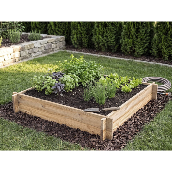 Carré potager en bois "Aneth" - 80 x 80 x 10 cm