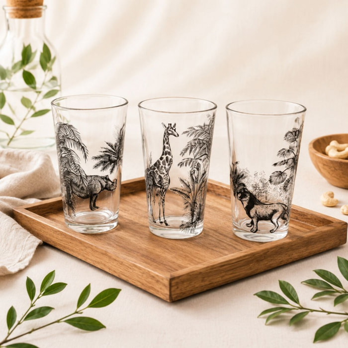 Lot de 6 verres, SAVANA