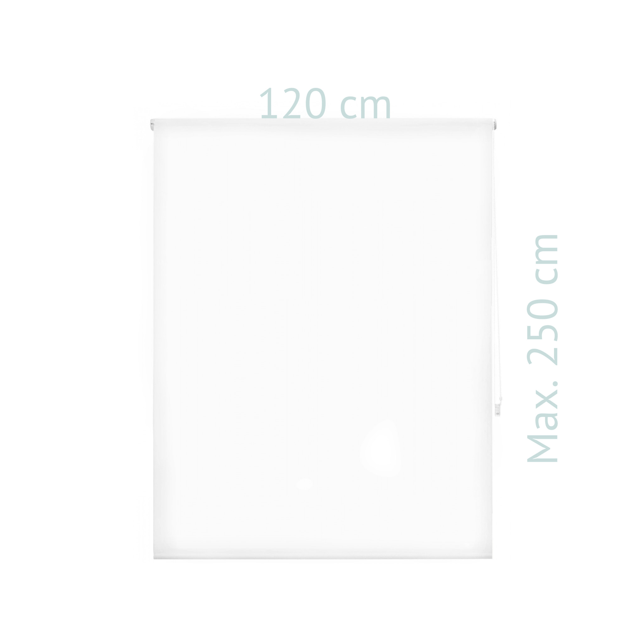 Store enrouleur Polyester Translucide Beige 120 x 250