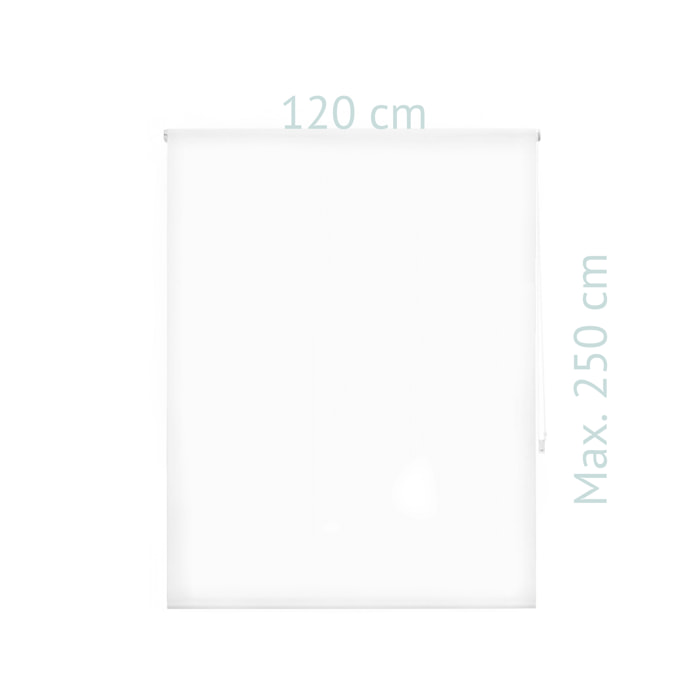 Store enrouleur Polyester Translucide Beige 120 x 250
